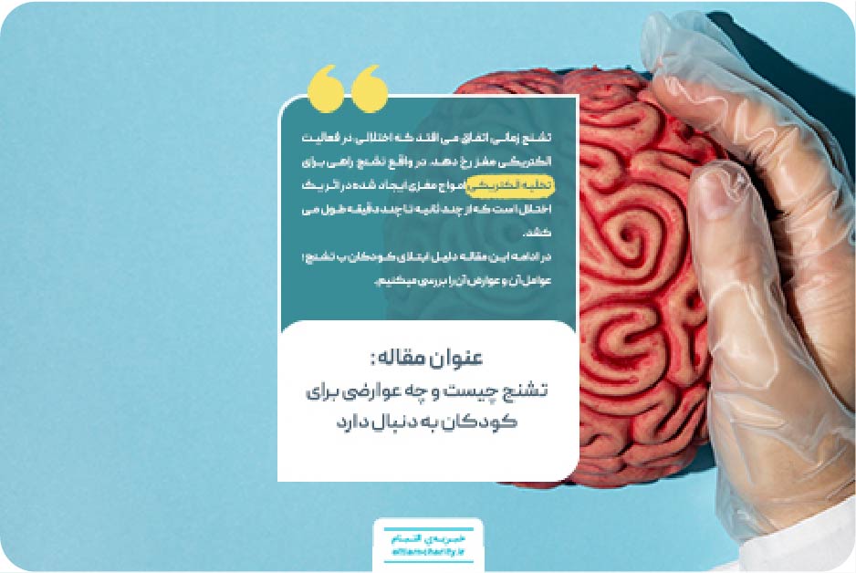 مغز