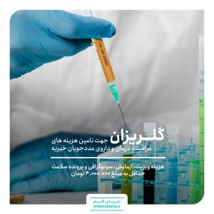 گلریزان خانواده حسینی-کمک هزینه ویزیت، آزمایش، سونوگرافی و پرونده سلامت